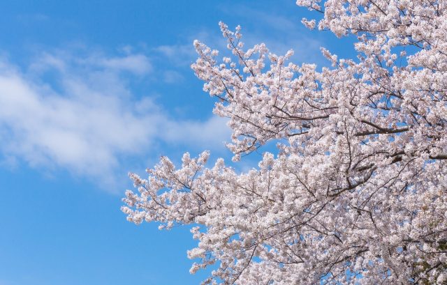 新年度スタート