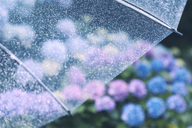 梅雨入り～2026