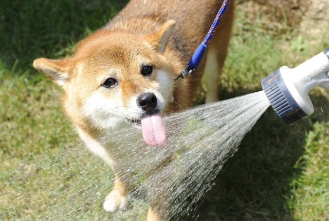 ９月スタートです！